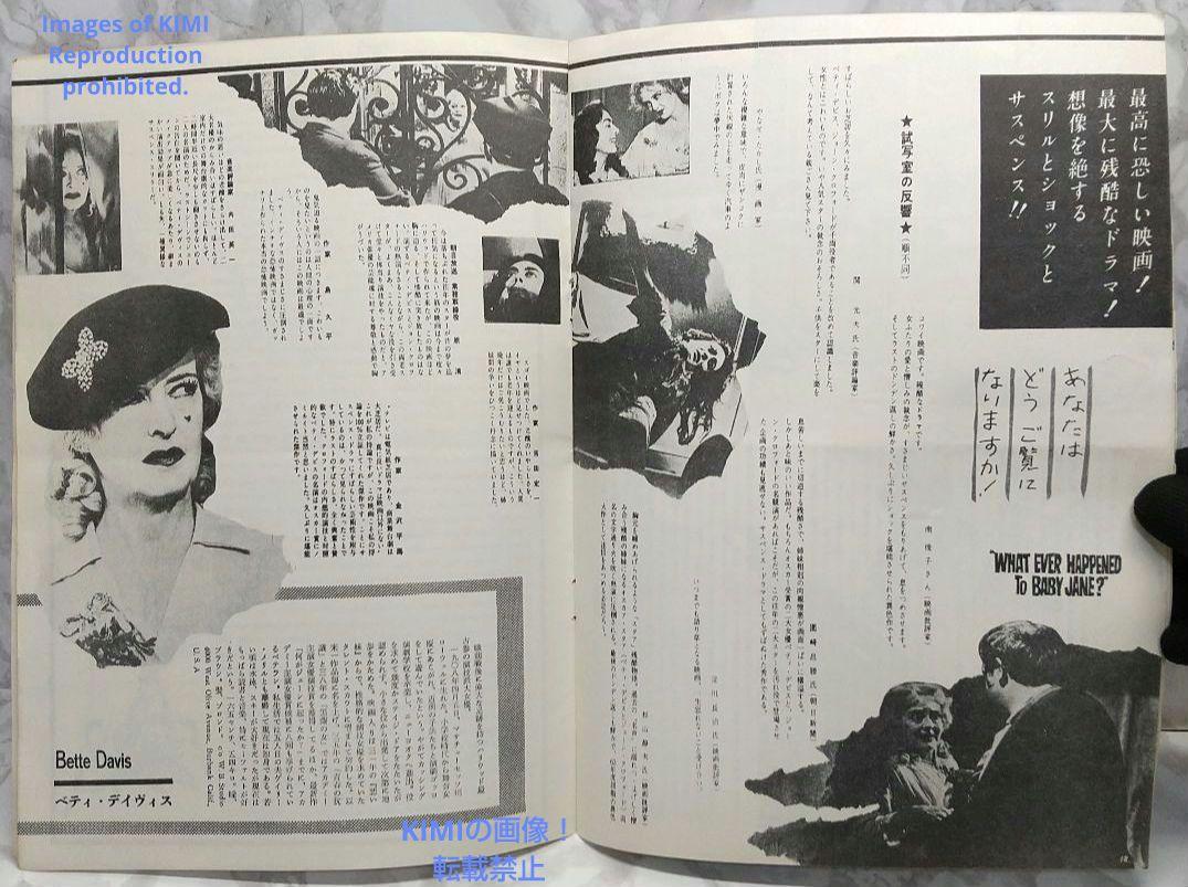レア 映画パンフ 何がジェーンに起こったか？ What Ever H 1962