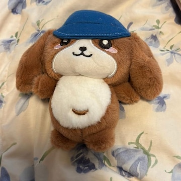 fRs@ʂ݃L[`F[