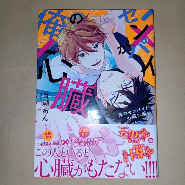 ̃ZpCSɈ@S   Aj/R~bN/LN^[ 