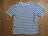 AVIREX U.S.A. アヴィレックス 綿 半袖 Tシャツ M 鰹纐商会