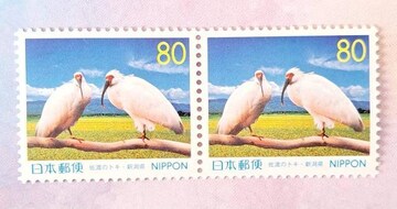 gp؎160~y؎Zzoi(^-^)|Cgɂ