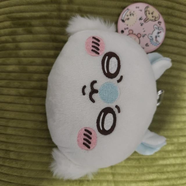 탂KƂʂ݃pXP[X|[`    