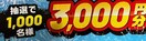 Iׂpay3000~/1000l1