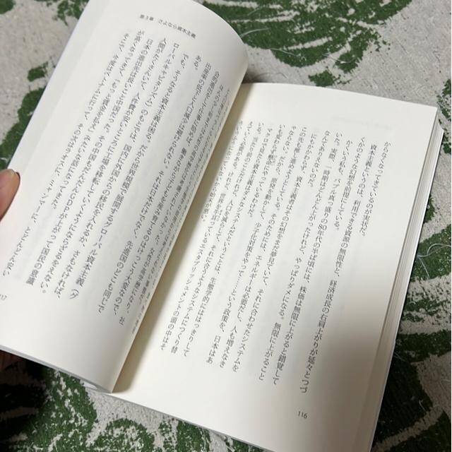 قǂقǂ̂߁@E傫͖łтւ̓/rcF  {/G 
