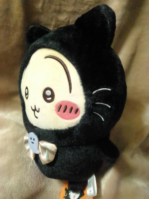 큡Lʂ݁  Aj/R~bN/LN^[ 
