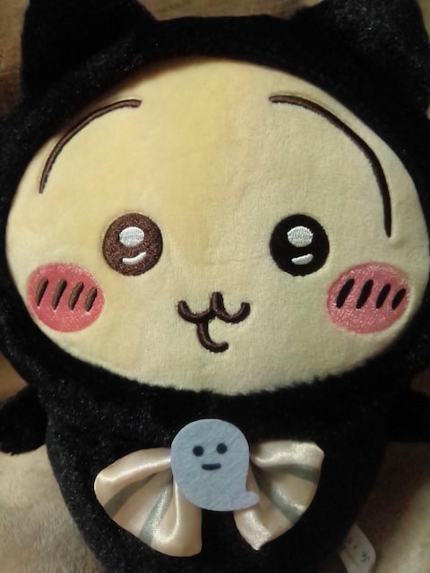 큡Lʂ݁  Aj/R~bN/LN^[ 