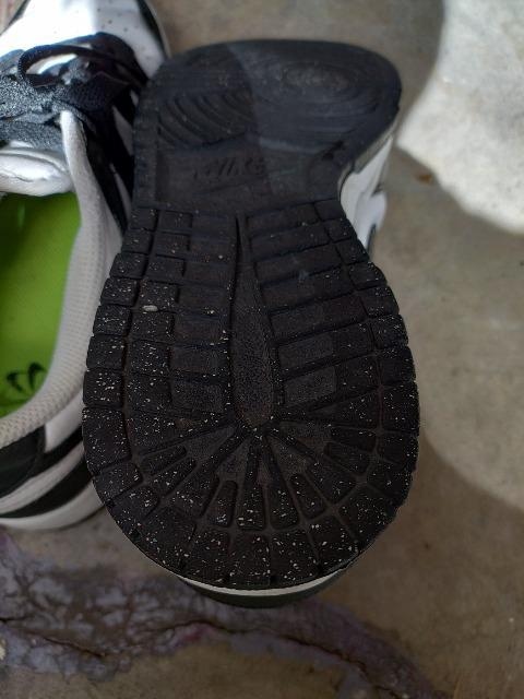 NIKE [JbgXj[J[ 24.5cm  uh 
