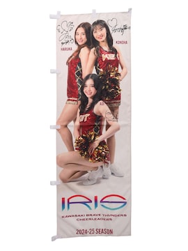 IRIS Ôڂ(1)(MTC)