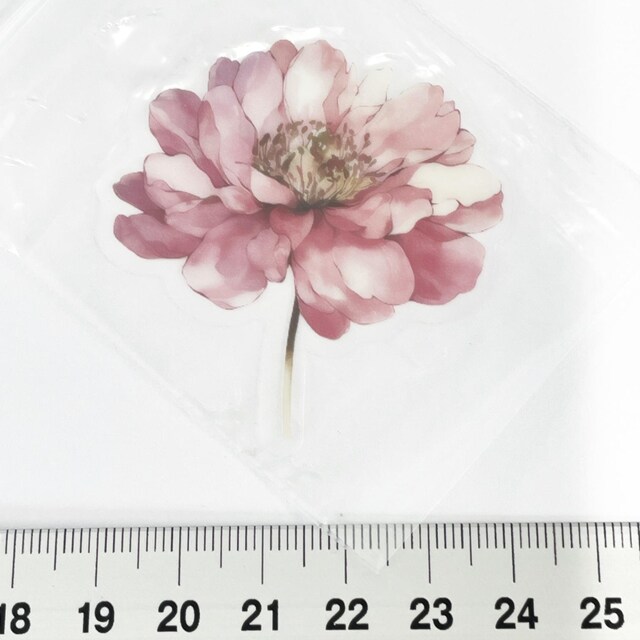 18*R[WV[3 