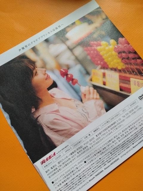 v[{[CDVDy镔@ꣁz  CD/DVD/rfI 