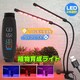 A琬Cg LED ƕs ͔| Lbg A[R k͔| v ͔|