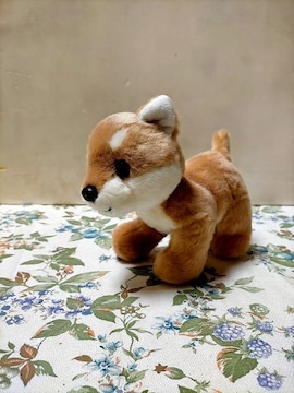 q ʂ Õi