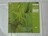 EPSILON IN MALAYSIAN PALE / EDGAR FROESE ̌^ѕtLP