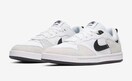 NIKE SB AE[v