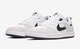 NIKE SB AE[v