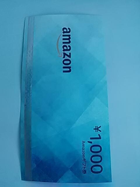 AmazonMtg1000~Vi 