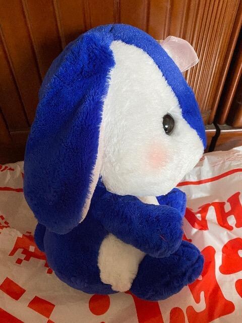 ۂĂҁ[@BIG ʂ݁@C̑蕨   