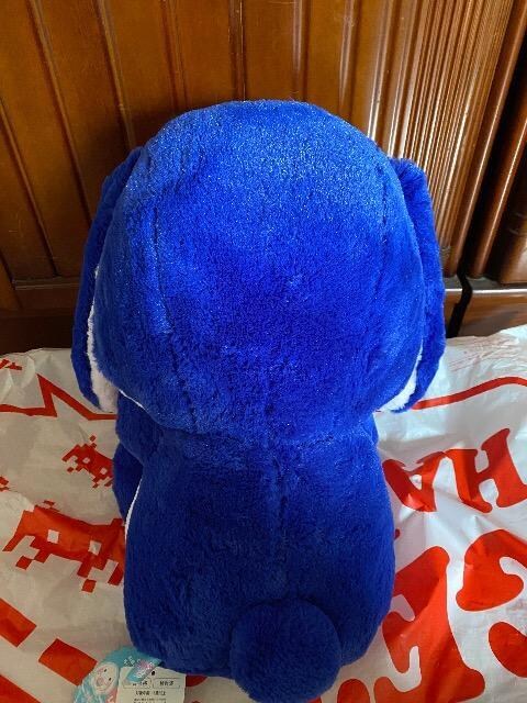ۂĂҁ[@BIG ʂ݁@C̑蕨   