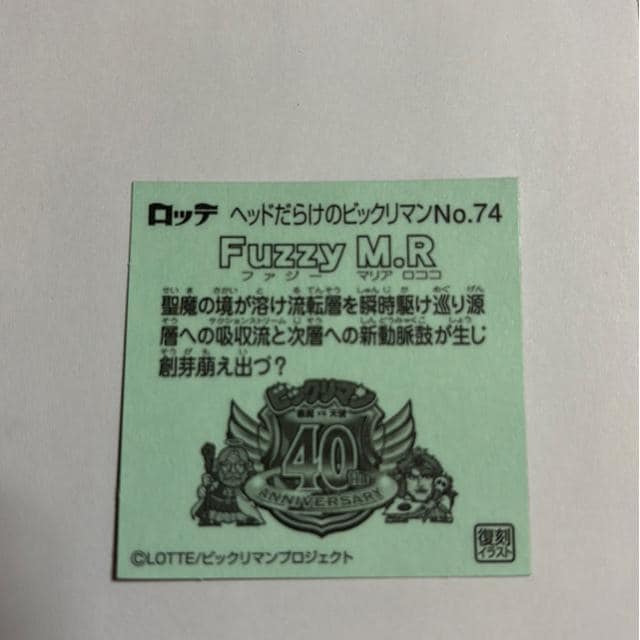 wbh炯̃rbN}NO.74 FuzzyM.R t@W[ }A RR  zr[ 