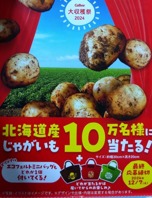 ႪQL~jobO/19 