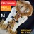 送料込み★毛皮付き!激可愛い(^O^)/ニットベスト★M★