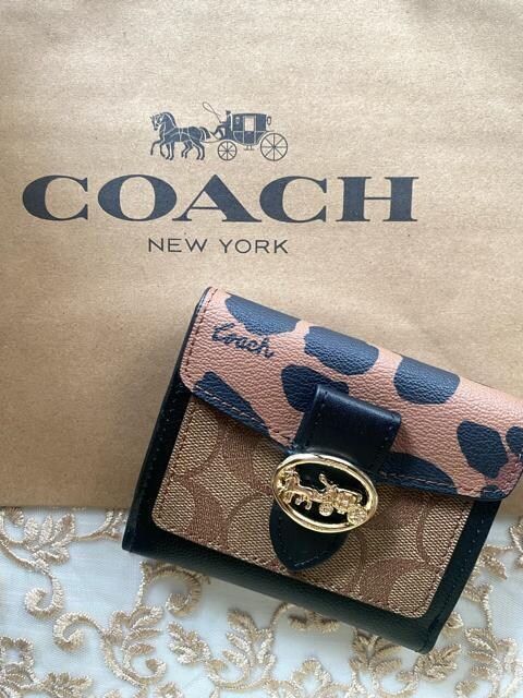 VigpCOACH fB[Xz qE 6260 Ip[h 