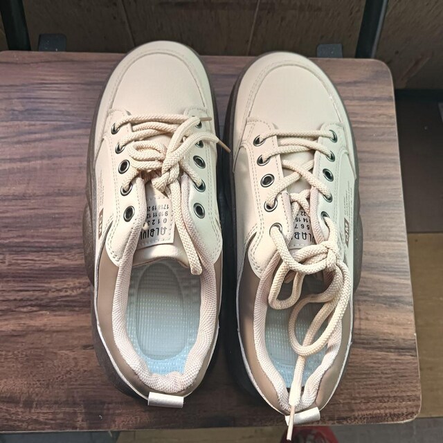 Vi 25cm fB[X Xj[J[ uE V[Y C   t@bV 