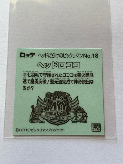wbh炯̃rbN}NO.18 wbhRR  zr[ 