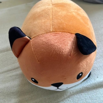 L^Lcl@ʂ