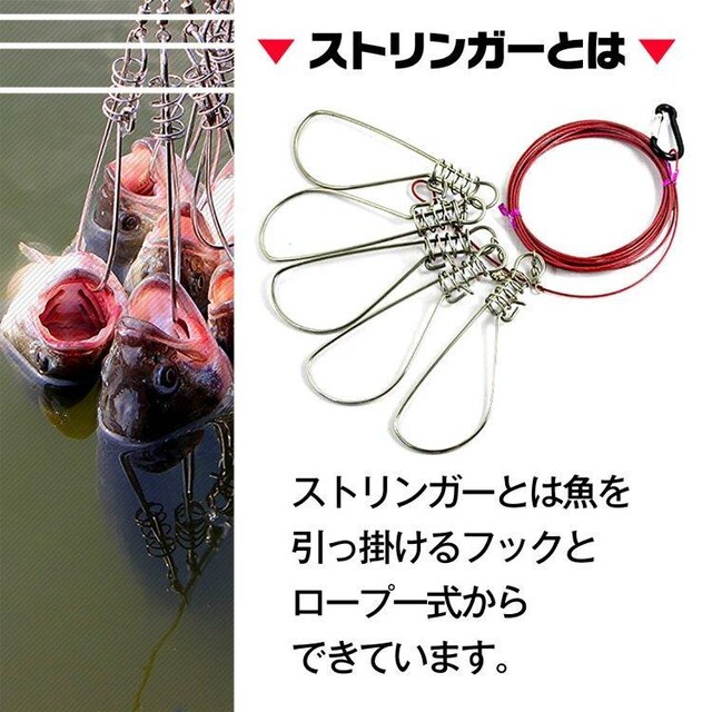 XgK[ 5Zbg C[ [vt Nx c[ tBbVObv tbN^ W[ ނ  W[/X|[c 