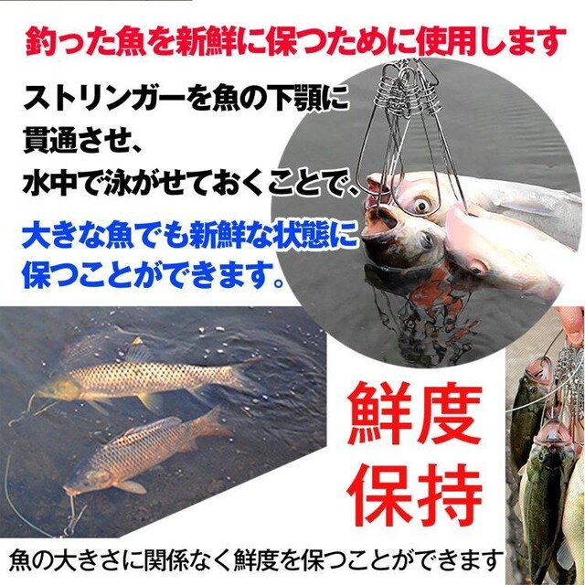 XgK[ 5Zbg C[ [vt Nx c[ tBbVObv tbN^ W[ ނ  W[/X|[c 