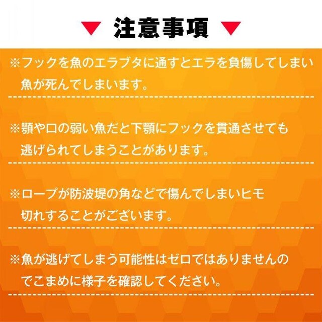 XgK[ 5Zbg C[ [vt Nx c[ tBbVObv tbN^ W[ ނ  W[/X|[c 