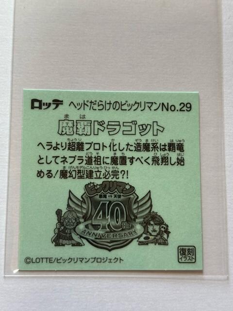 wbh炯̃rbN}NO.29 ehSbg(}nhSbg)  zr[ 