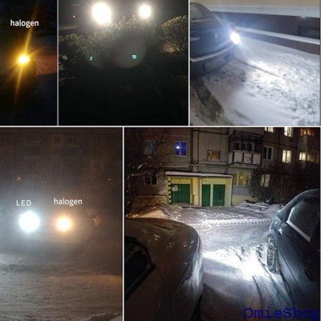 S25 _u 1157 BAY15D P21/5W ED Cg 10Zbg zCg woCNgpsx 604  /oCN