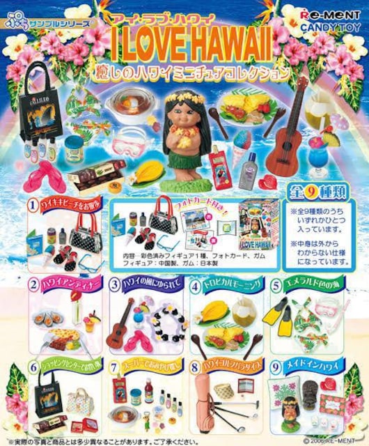 yI LOVE HAWAII ACEuEnC/nC̕ɂāzՂTvtBMA  zr[ 