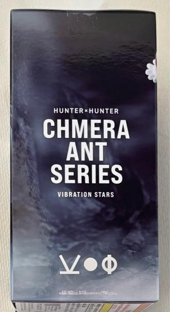 HUNTER~HUNTER n^[n^[ VIBRATION STARS JCg
