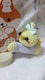 Ђ悿҂݂݃oT~()