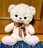 新品 マイローズベア ピンク ぬいぐるみ ふわふわ クマ テディベア 人形 くま クマ 熊 りぼん リボン 30cm ローズ ボア