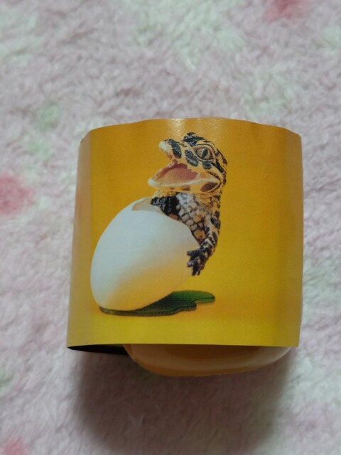  chocop EXREAQ[^[ (Ӊ)  animatales AMAZING ANIMALS ! Ver.