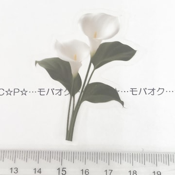 15*YȂԁ@װޭف@29