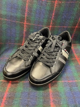 TOMMY HILFIGER g~[qtBK[[JbgXj[J[/TCY26cm/ubN@@ Xj[J[