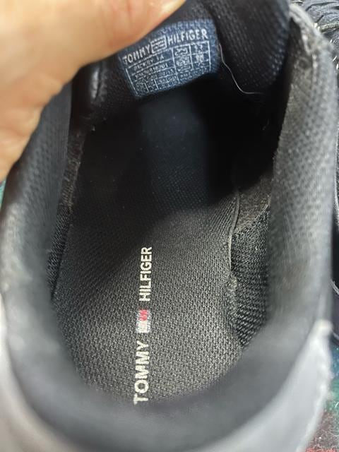 TOMMY HILFIGER g~[qtBK[[JbgXj[J[/TCY26cm/ubN@@ Xj[J[  jt@bV 