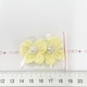 28*Ҳ́׷set@8
