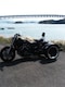 YAMAHA}n1200ccVmaxuC}bNXTRIKEgCNO֎ԃX[zC[ʖƋłȂm[wős\