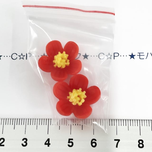 18*̂Ԃ̃fRp[c@30   /RX/lC 