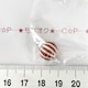 29*Ҳށ􋞈с@@7