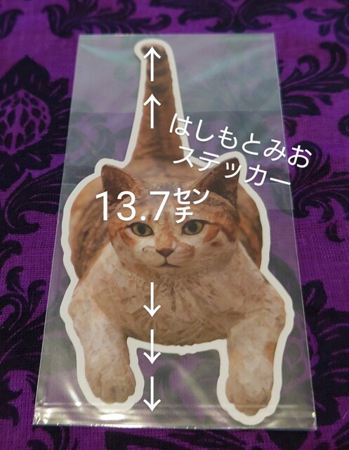 A[gȔLObYlߍ킹@|XgJ[h@XebJ[@@͂Ƃ݂@ΑÐ@xEG|bN@  zr[ 