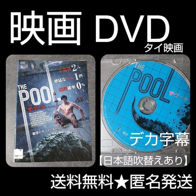 fDVDwTHE POOL UEv[x^ ^Cf   CD/DVD/rfI 