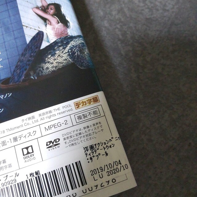 fDVDwTHE POOL UEv[x^ ^Cf  CD/DVD/rfI 