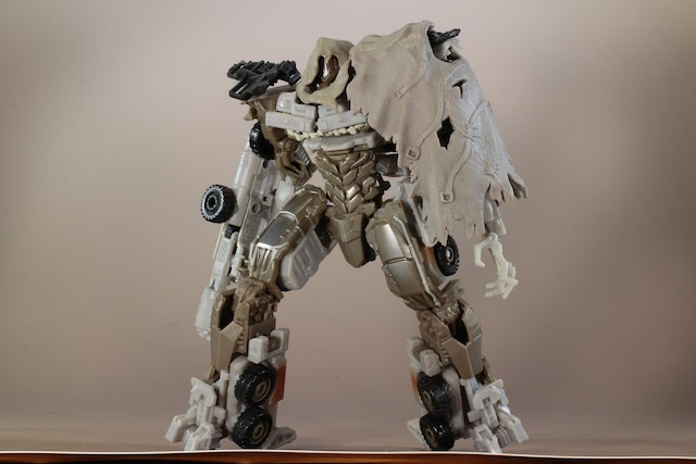  nYu gXtH[}[[r[ DD01 Kg  zr[ 